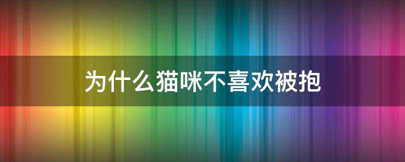 为什么猫咪不喜欢被抱 为什么猫咪不喜欢被抱却很粘人