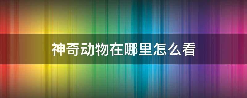 神奇动物在哪里怎么看 神奇动物在哪里怎么看懂