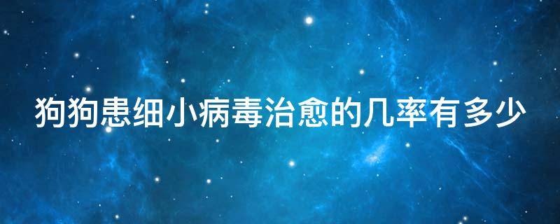 狗狗患细小病毒治愈的几率有多少 狗得了细小病毒能活多久