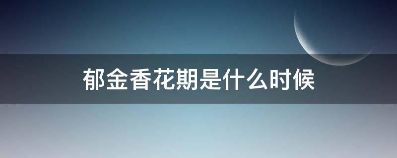 郁金香花期是什么时候 郁金香花期是什么时候?