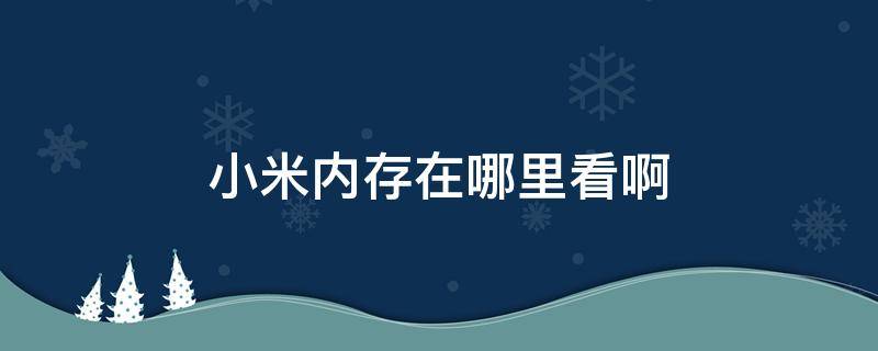 小米内存在哪里看啊 小米运行内存哪里看