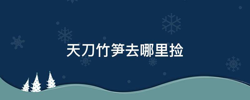 天刀竹笋去哪里捡（天刀在哪挖竹笋）