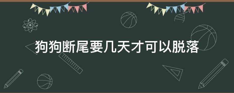 狗狗断尾要几天才可以脱落 小狗断尾几天尾巴能掉