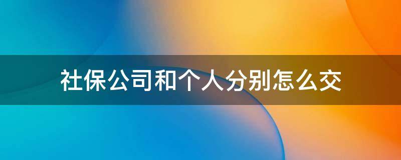 社保公司和个人分别怎么交（公司交的社保和个人交的社保）