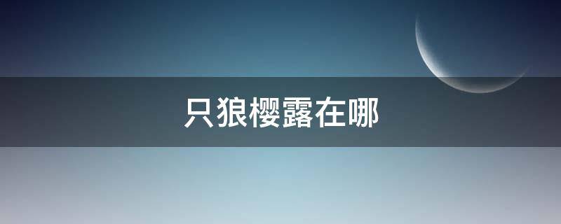 只狼樱露在哪 只狼樱露在哪里