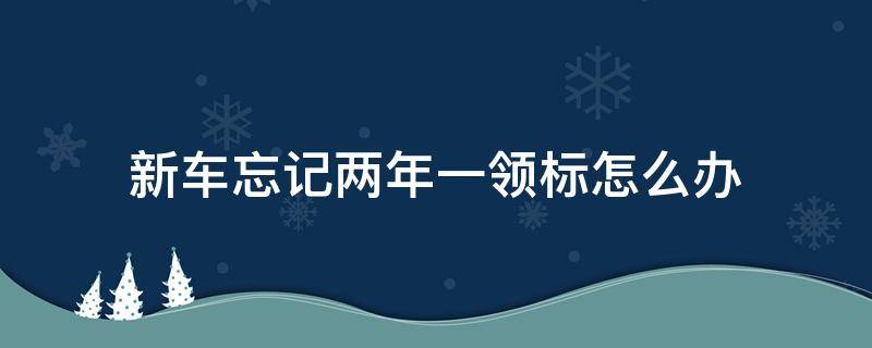 新车忘记两年一领标怎么办（新车满2年忘了领检字标怎么办）