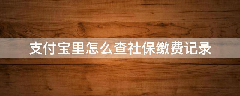 支付宝里怎么查社保缴费记录（支付宝里怎么查社保缴费记录2021年）