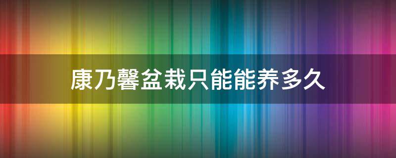 康乃馨盆栽只能能养多久（康乃馨植株可以养几年）