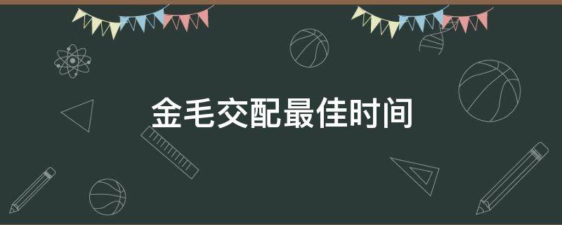 金毛交配最佳时间（金毛配狗最佳时间是什么时候）