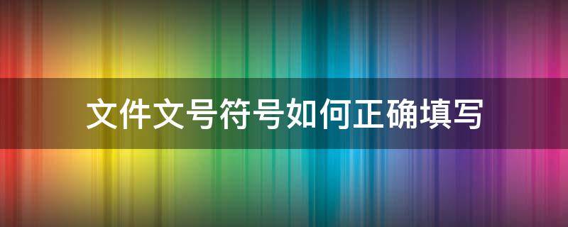 文件文号符号如何正确填写（文档符号格式）