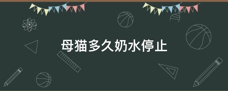 母猫多久奶水停止 母猫奶水什么时候消失