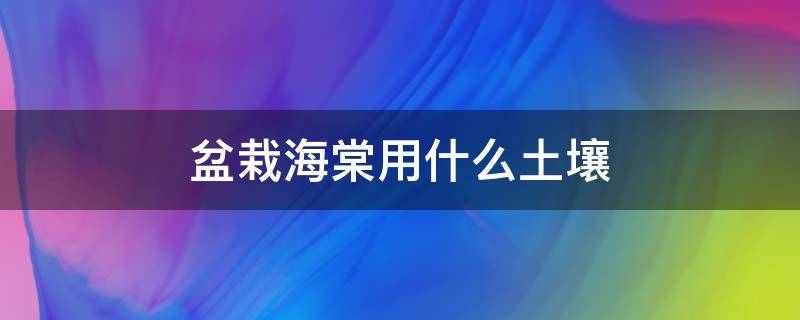 盆栽海棠用什么土壤 盆栽海棠花需要什么样的土壤