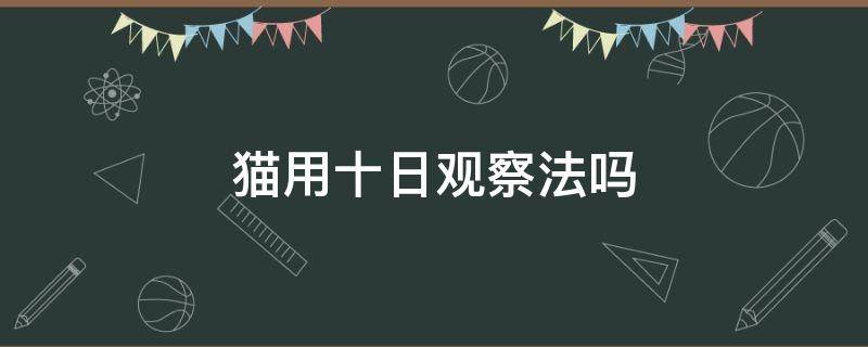 猫用十日观察法吗 观察法有用吗