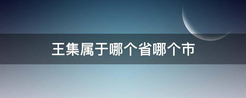 王集属于哪个省哪个市 王集有多少人口