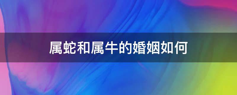 属蛇和属牛的婚姻如何 属牛与属蛇的婚姻咋样