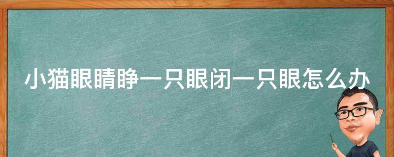 小猫眼睛睁一只眼闭一只眼怎么办 小猫的眼睛一只睁开一只闭着