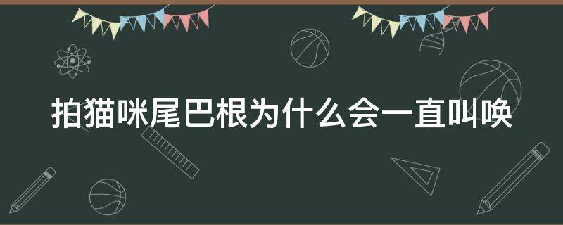 拍猫咪尾巴根为什么会一直叫唤 拍猫咪尾巴根为什么会一直叫唤