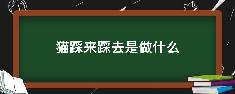 猫踩来踩去是做什么（猫为啥踩来踩去的）