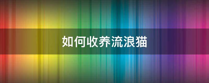 如何收养流浪猫（如何收养流浪猫?）