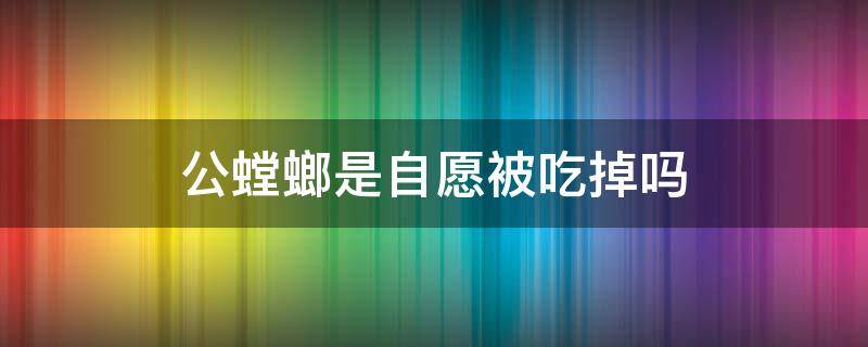 公螳螂是自愿被吃掉吗 公螳螂愿意被母螳螂吃掉吗