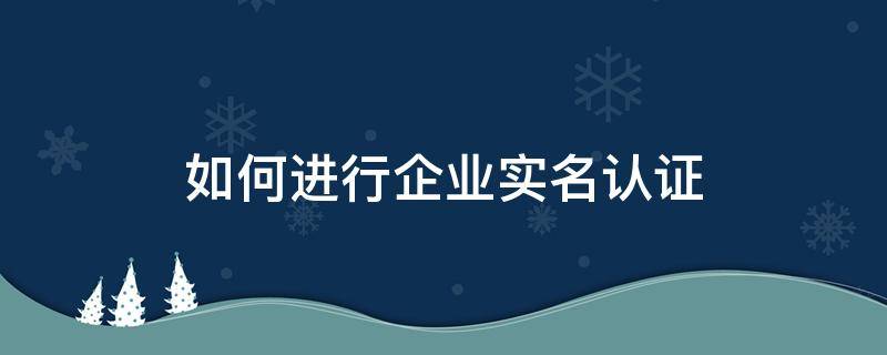 如何进行企业实名认证（企业实名认证在哪里办理）