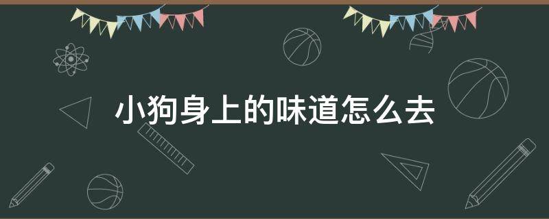 小狗身上的味道怎么去（怎么祛除小狗身上的味道）