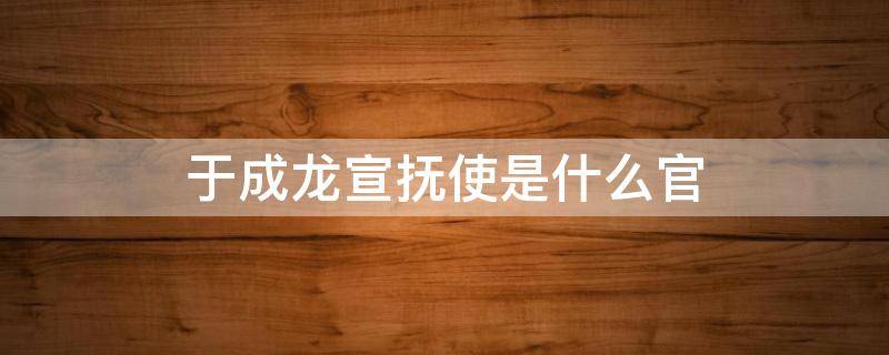 于成龙宣抚使是什么官（清朝于成龙是什么官）