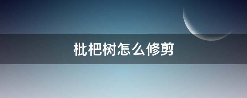 枇杷树怎么修剪 枇杷树怎么修剪视频教程