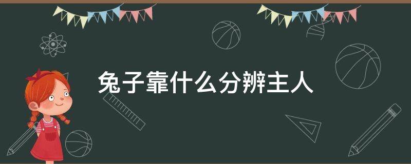 兔子靠什么分辨主人 兔子靠什么分辨主人?