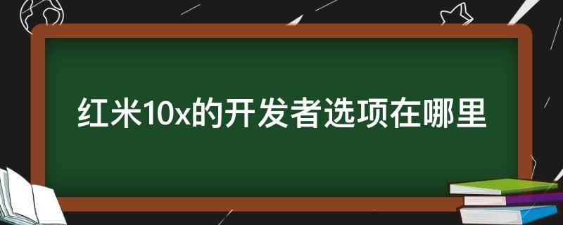 红米10x的开发者选项在哪里 红米10x 开发者