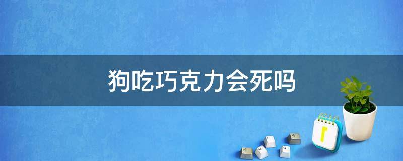 狗吃巧克力会死吗（狗吃巧克力会死吗?脑筋急转弯）