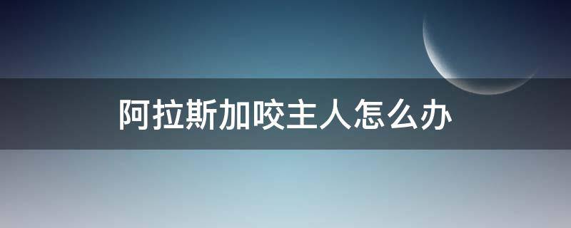 阿拉斯加咬主人怎么办（阿拉斯加咬死主人）