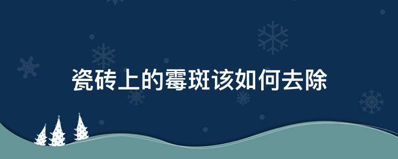 瓷砖上的霉斑该如何去除（瓷砖上霉斑用什么洗能洗掉）