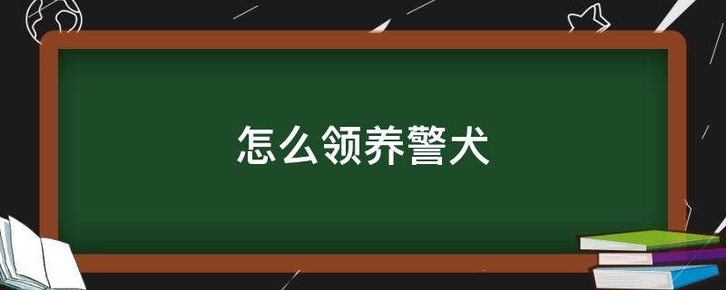 怎么领养警犬（怎么领养警犬淘汰幼犬）