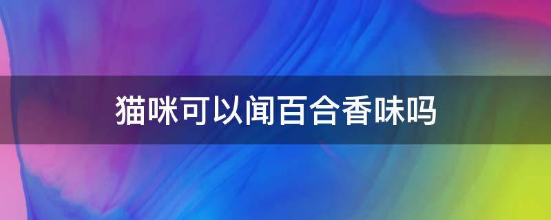 猫咪可以闻百合香味吗 猫咪闻到空气中百合的香味会怎样