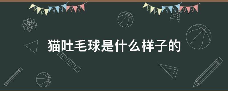 猫吐毛球是什么样子的 猫咪吐毛球是啥样子