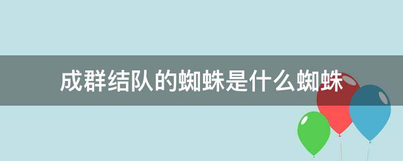 成群结队的蜘蛛是什么蜘蛛 蜘蛛成群结网