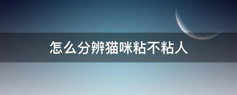 怎么分辨猫咪粘不粘人（猫咪太粘人是怎么回事）