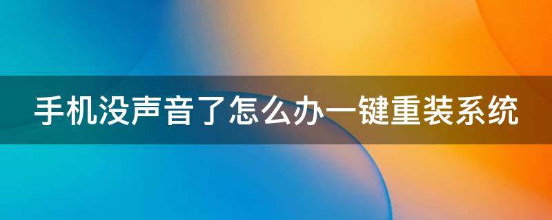 手机没声音了怎么办一键重装系统（手机没声音了怎么办一键重装系统没声音）