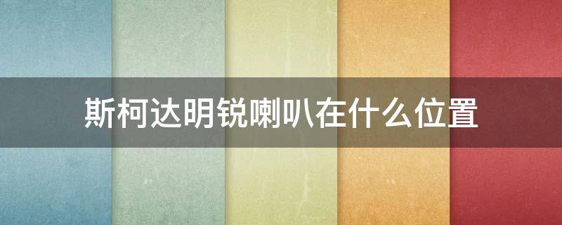 斯柯达明锐喇叭在什么位置 斯柯达明锐有几个鸣笛喇叭