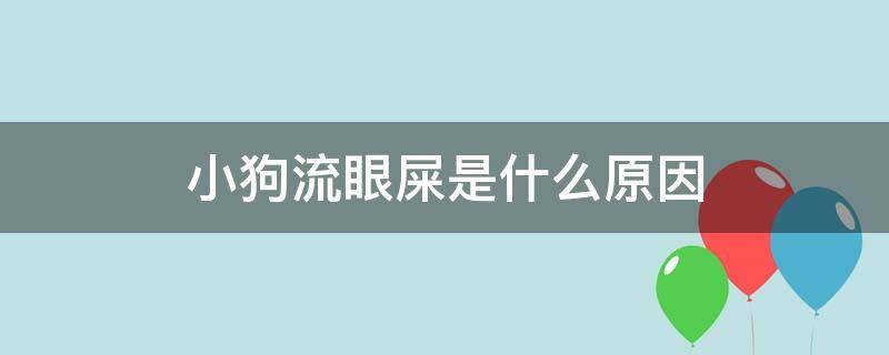 小狗流眼屎是什么原因（小狗为什么流眼屎）