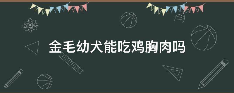 金毛幼犬能吃鸡胸肉吗（金毛幼犬可以每天吃鸡胸肉吗）