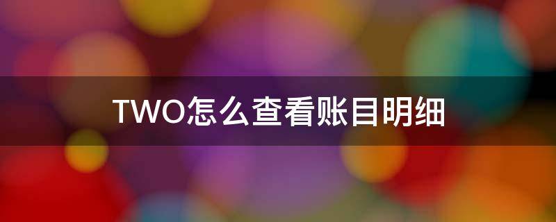 TWO怎么查看账目明细 查看账表里的余额表怎么操作