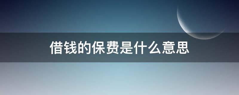 借钱的保费是什么意思（借款的保费是什么意思）