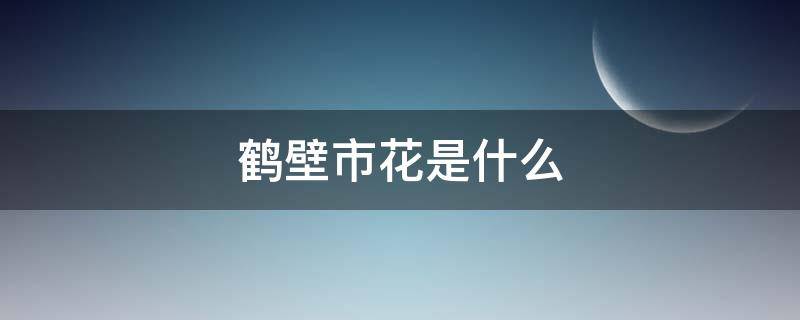 鹤壁市花是什么 鹤壁市花店