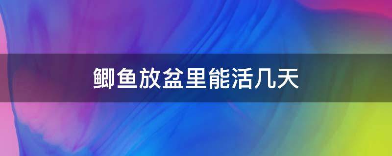 鲫鱼放盆里能活几天 盆里怎么养鲫鱼活得时间长