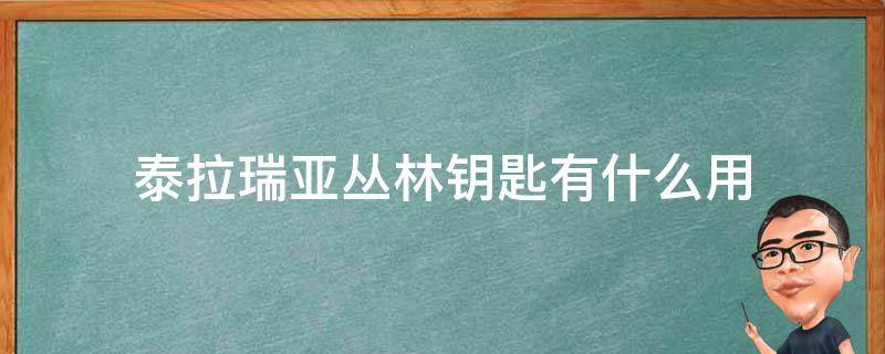 泰拉瑞亚丛林钥匙有什么用 泰拉瑞亚丛林钥匙干嘛的