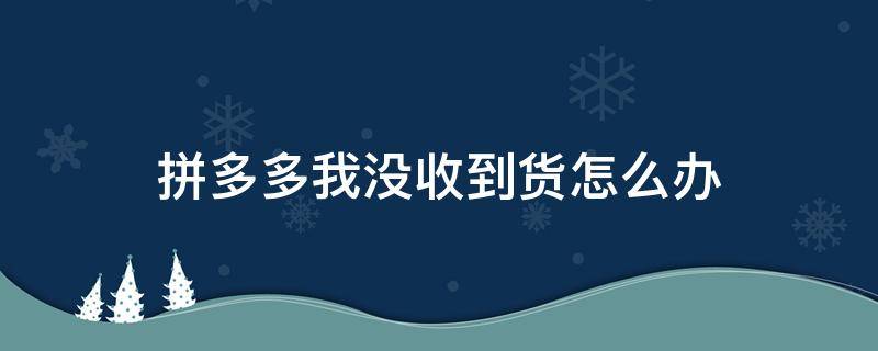 拼多多我没收到货怎么办（拼多多没有收到货怎么办）