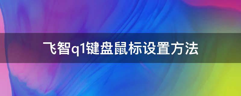 飞智q1键盘鼠标设置方法 飞智q1键鼠最新按键设置教程