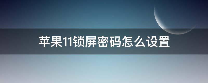 苹果11锁屏密码怎么设置（苹果11锁屏密码怎么设置6位）